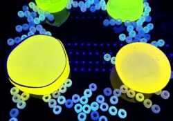 Rise Up komunita zakončila rok 2025 společně na horách